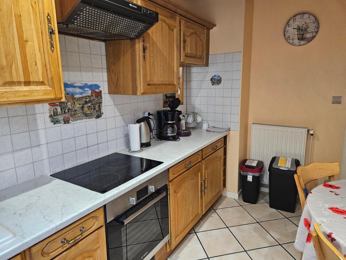 Gite Spacieux Au Coeur De L'Alsace 3*** Sélestat Exterior foto
