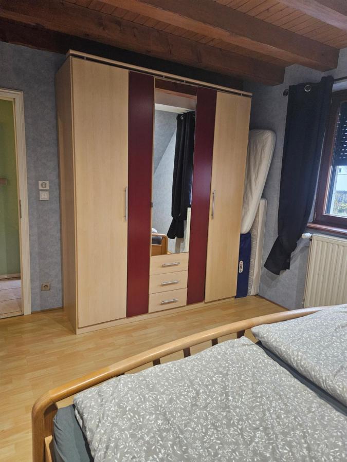 Gite Spacieux Au Coeur De L'Alsace 3*** Sélestat Exterior foto