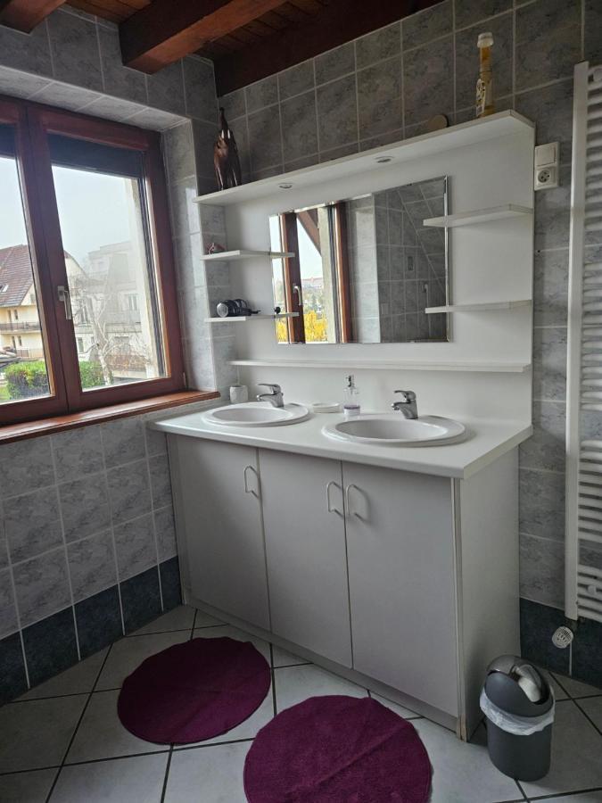 Gite Spacieux Au Coeur De L'Alsace 3*** Sélestat Exterior foto
